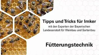 Imkerpraxis: F&uuml;ttern der Bienen
