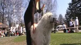 MOV066