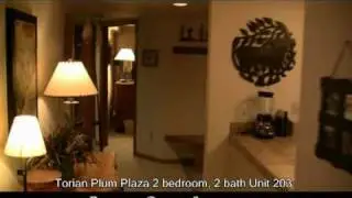 Torian Plum Plaza Condos Unit 203 by ResortQuest Steamboat Vacation Rentals