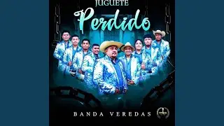 Juguete Perdido