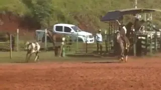 CTG Rinc&atilde;o Verde Maring&aacute;.  Fev. 2017