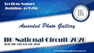 AWARDED IMAGES || NATURE PHOTOGRAPHY || IIG CIRCUIT || JUDGING 1 SGIPL 1
