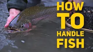 BEST FISH HANDLING Practices for Catch & Release