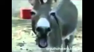 Hhhhhhhhhh
