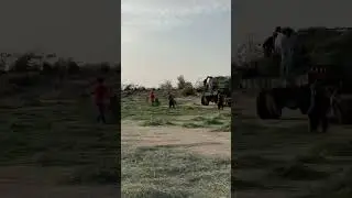 Spreading Grass For Baling #export #qatar #kuwait