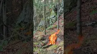 🔥 Hillside Forest Campfire Short | 20-Minute Fire in 12 Seconds