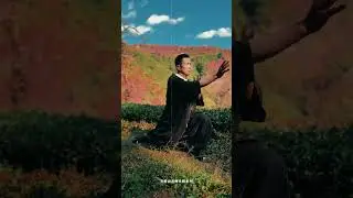 Essence of Huangshan Daoist Taijiquan Cultivation: Governing Form with the Dao