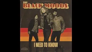The Black Moods - I Need to Know (Official Video)