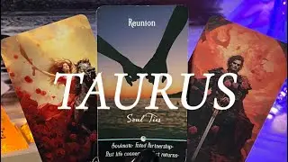 ♉️ TAURUS The Standstill Is Over; You Are About To See Them Again💞JANUARY Bonus Love Reading✨