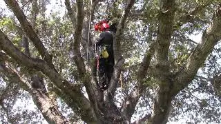Bino H Aerial Rescue 2024