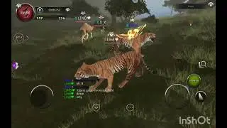 Wild Animals Online with my friend Dani in Monster Field and Amazon