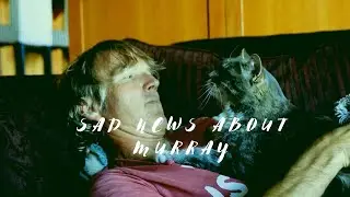 Sad News About My Cat Murray