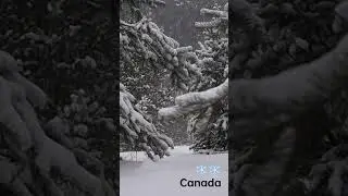 snow ❄️ 2023 #canada #canadalife #snow #snowfall