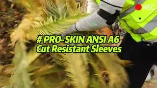 Product Show | Schwer Cut Resistant Arm Sleeves | ANSI A6, Velcro Strap, Thumbhole, S909