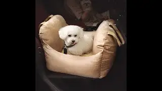 How to install | Dog Car Seat Bed - First Class