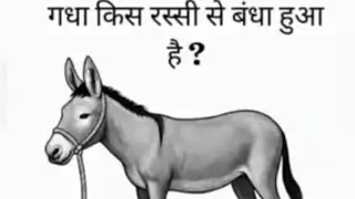Can you crack this Trending math Puzzle?  #shorts​ #puzzles​  #youtubeshorts​ #math​ #tumhihobandhu