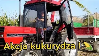 Akcja kukurydza 🌽🌽 2023  #ursus3512 #case #akcjakukurydza #dlaciebie #caseinternational #potinger