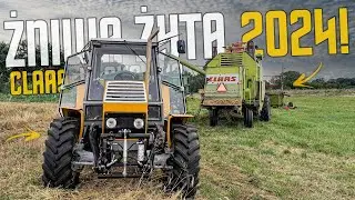 ☆Ciężki Wyjazd Ursusa!?☆Polskie Żniwa Żyta 2024!☆Claas Mercator 60 & Ursus C-385 W Akcji!?☆