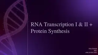 RNA Transcription & Protein Synthesis | Rida Shahab | MOL 114