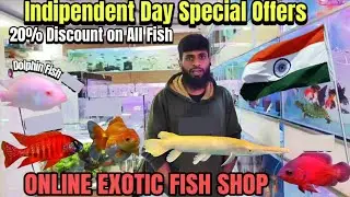 Indipendent Day Special Offers 20% Discount on all Fish | Shaz aquatic nature