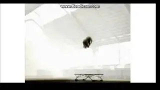 Elephant Jumping on Trampoline