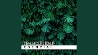 Armon&iacute;a interna