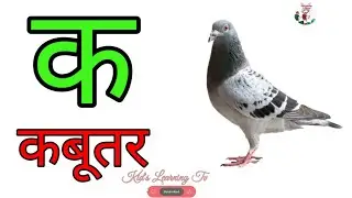kabutar, kha se Khargosh, ga se gamla, Hindi alphabet, a se gya Tak, a se gya Tak Vowels, A A I