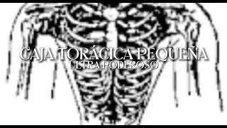 Caja Tor&aacute;cica Peque&ntilde;a (resubido)