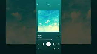 Aircraft - Aeria