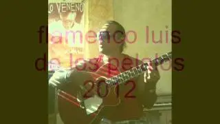 luis de los pelalos y suconpadre los primos hermanos 2012 tema n