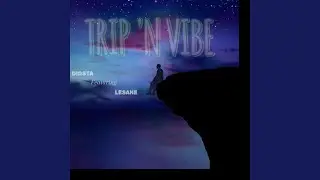 Trip N Vibe