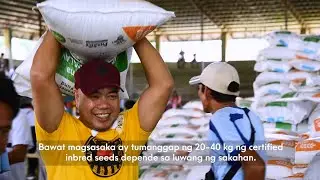 First RCEF seed distribution