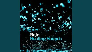 Rain & Frost