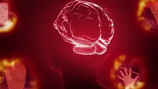 Alzheimer : D&eacute;couverte d'un nouveau traitement r&eacute;volutionnaire ?