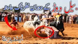Most Dangerous Accident during Bull Race In Dadyal