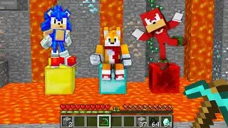 WHO TO SAVE in MInecraft - SONIC KNUCKLES TAILS master school my craft Dance Animation FNF Evolution