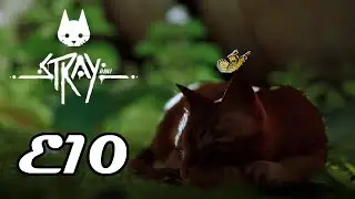 Stray - E10 - Playthrough