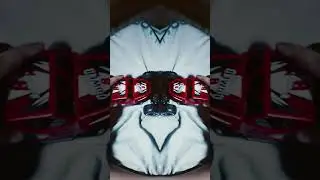 hallo