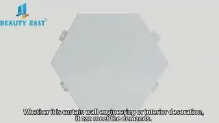 Aluminum  Solid Panel-Custom Facade Project