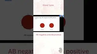 🩸Blood Types - A, B, O, Rh positive and Rh negative #bloodtype #abo #rhfactor #rhesus #blood #nurse