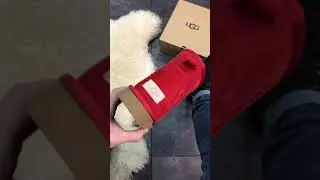 Обзор женские зимние замшевые угги UGG Classic 2 Mini RED красные