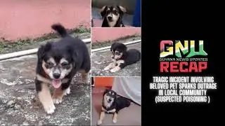 Tragic Incident Involving Beloved Pet Sparks Outrage in Local Community  Suspected Poisoning