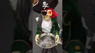 NEW FOR 2018 3ft Animated Pirate Skeleton