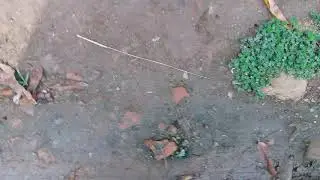 20180618 082718
