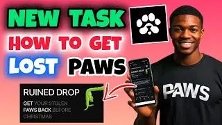 Paws New Task Ruined Drop &ndash; How To Get Your Stolen Paws Back Task | Paws Airdrop Mystery Quest