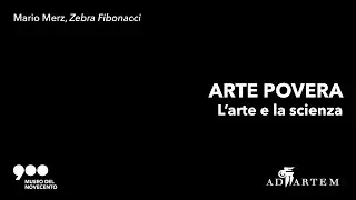 Mario Merz, ZEBRA FIBONACCI | MUSEO DEL NOVECENTO (ep.9)