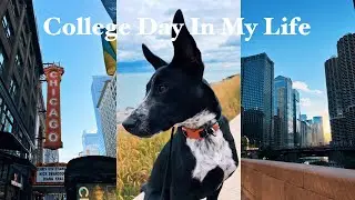 College Day In My Life: Classes, Downtown Chicago, Walking my Dog, Workout, Girls Night