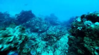 The structure of Juno Ledge