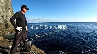 草垣群島石垣鯛数釣り