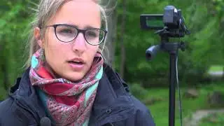 Forschung Weissruessel-Nasenbären im Zoo Magdeburg